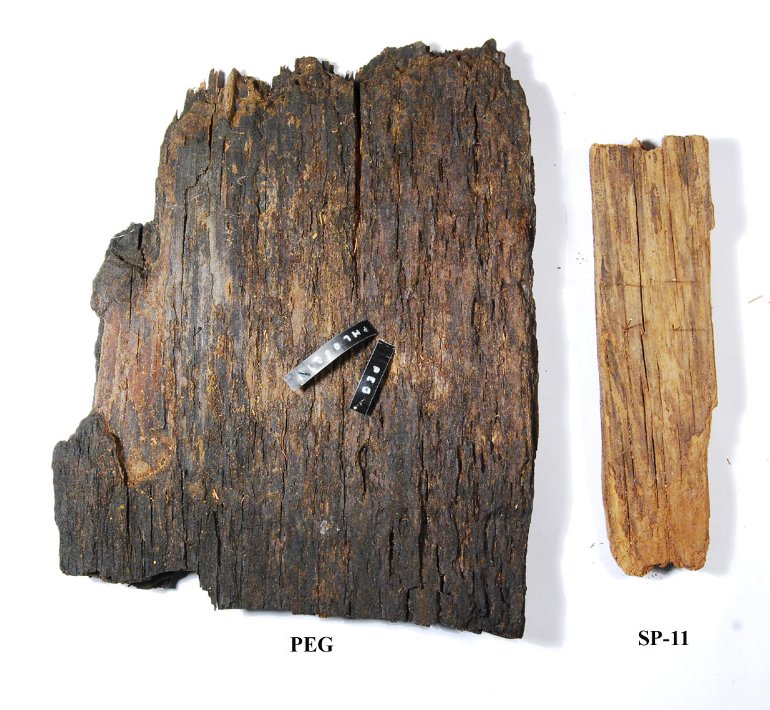 SP-11 Waterlogged Wood Treatment